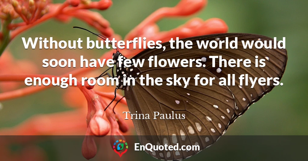 Without butterflies, the world would soon have few flowers. There is enough room in the sky for all flyers.