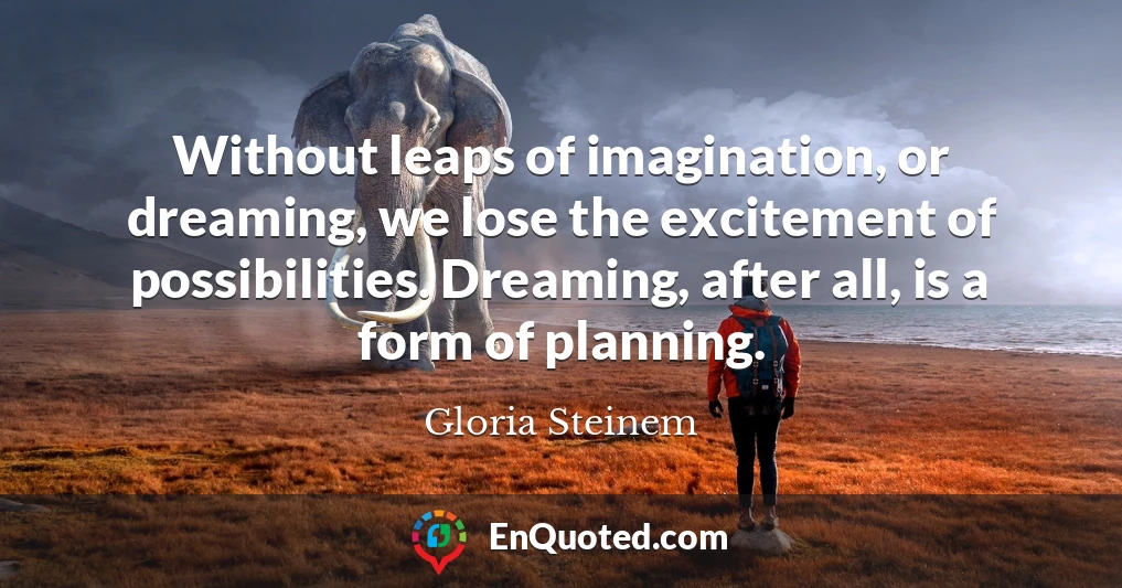 Without leaps of imagination, or dreaming, we lose the excitement of possibilities. Dreaming, after all, is a form of planning.