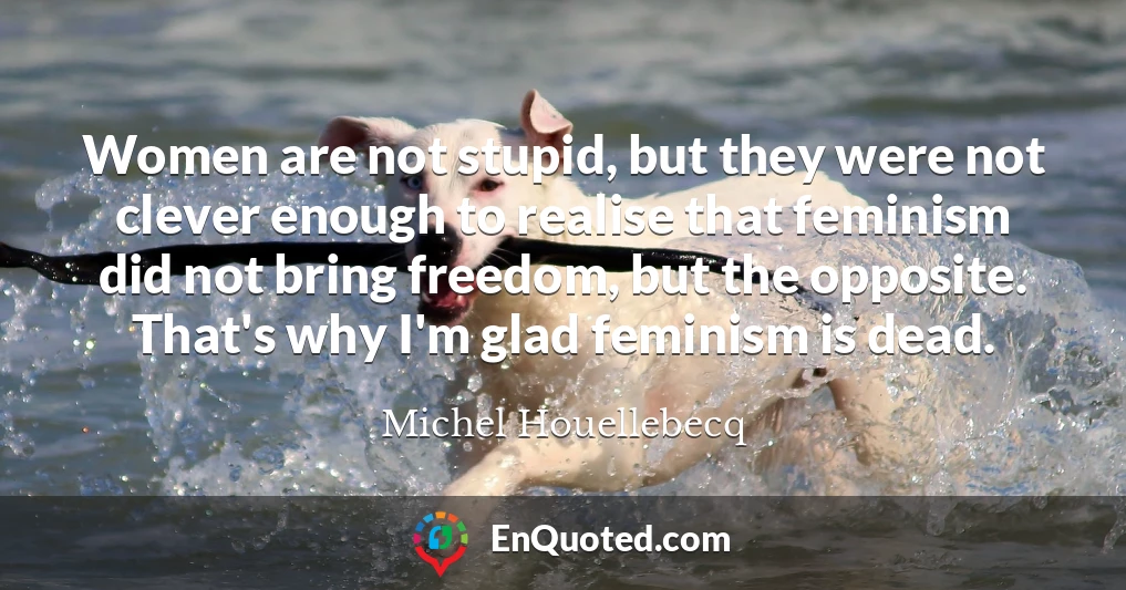 Women are not stupid, but they were not clever enough to realise that feminism did not bring freedom, but the opposite. That's why I'm glad feminism is dead.