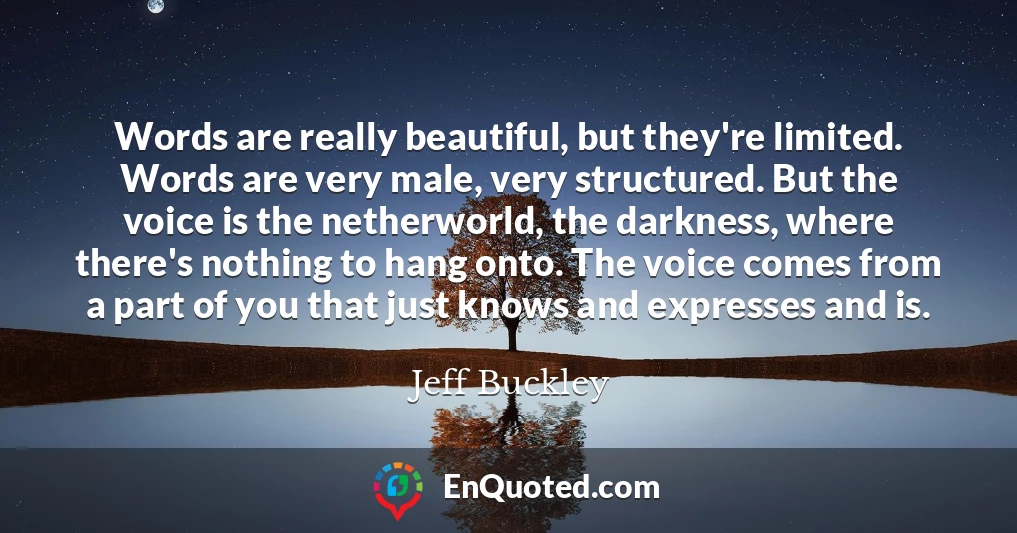 Words are really beautiful, but they're limited. Words are very male, very structured. But the voice is the netherworld, the darkness, where there's nothing to hang onto. The voice comes from a part of you that just knows and expresses and is.