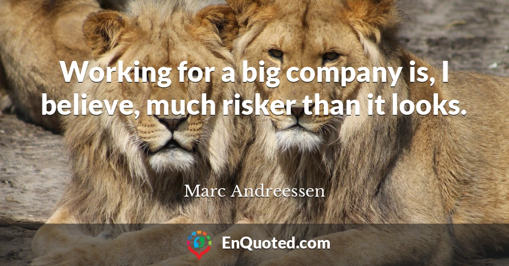 Working for a big company is, I believe, much risker than it looks.