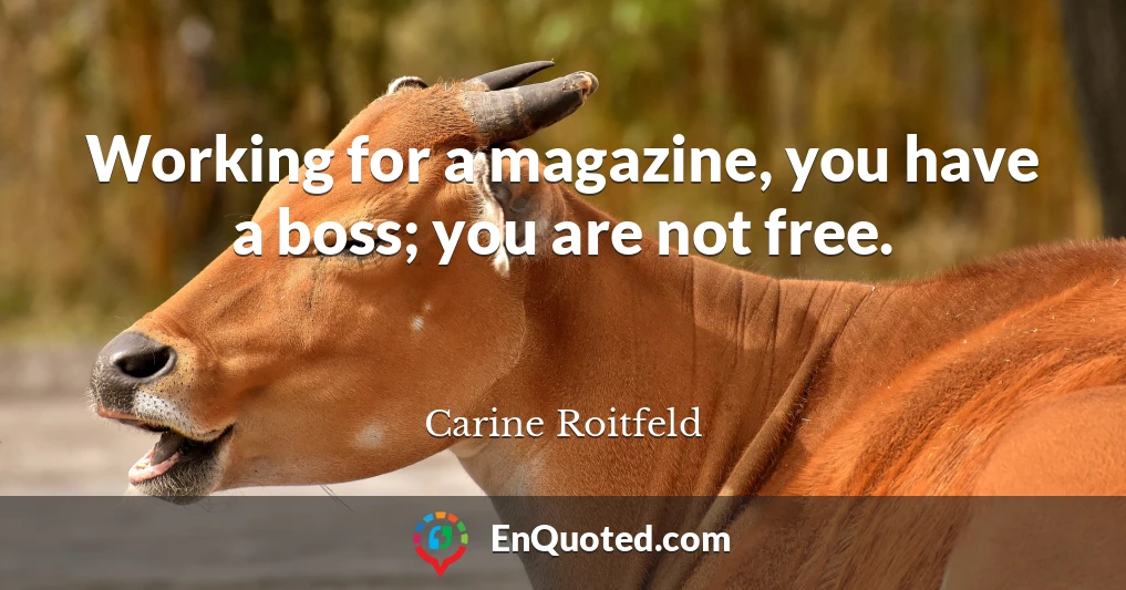Working for a magazine, you have a boss; you are not free.