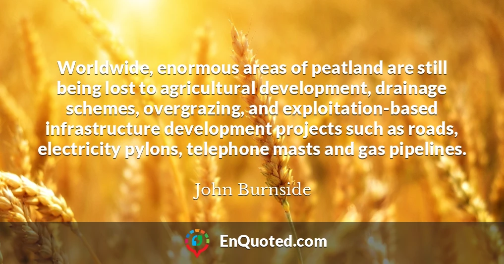 Worldwide, enormous areas of peatland are still being lost to agricultural development, drainage schemes, overgrazing, and exploitation-based infrastructure development projects such as roads, electricity pylons, telephone masts and gas pipelines.