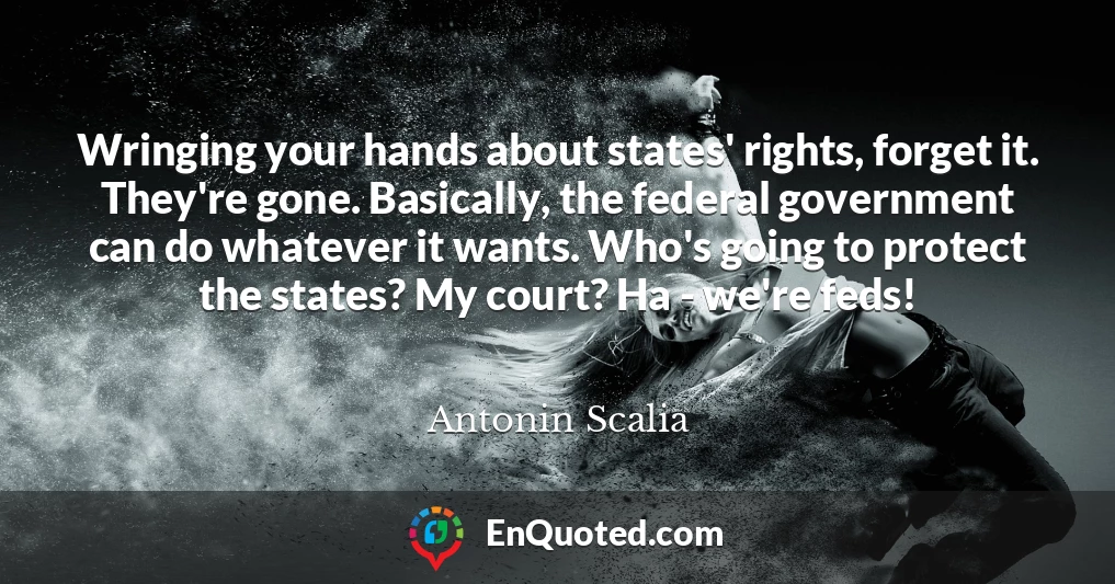Wringing your hands about states' rights, forget it. They're gone. Basically, the federal government can do whatever it wants. Who's going to protect the states? My court? Ha - we're feds!