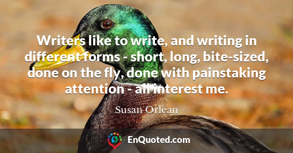 Writers like to write, and writing in different forms - short, long, bite-sized, done on the fly, done with painstaking attention - all interest me.