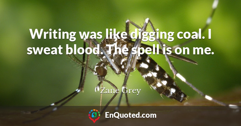 Writing was like digging coal. I sweat blood. The spell is on me.