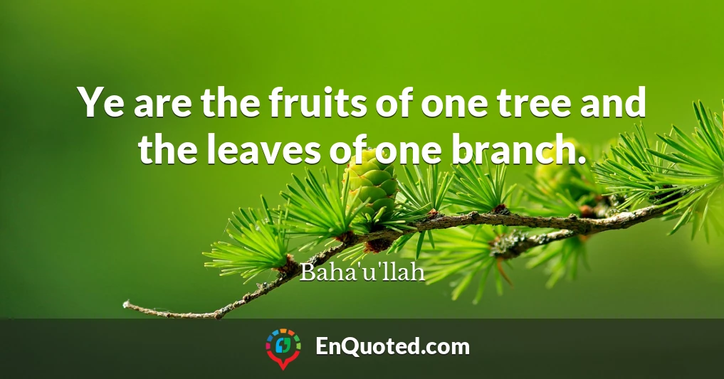 Ye are the fruits of one tree and the leaves of one branch.