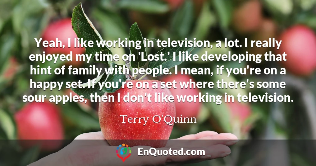 Yeah, I like working in television, a lot. I really enjoyed my time on 'Lost.' I like developing that hint of family with people. I mean, if you're on a happy set. If you're on a set where there's some sour apples, then I don't like working in television.