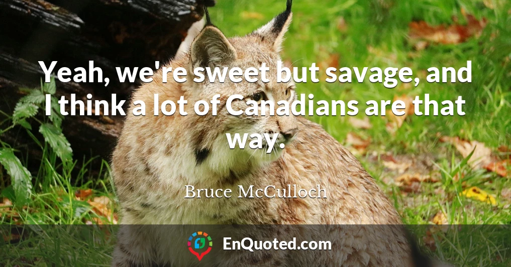Yeah, we're sweet but savage, and I think a lot of Canadians are that way.
