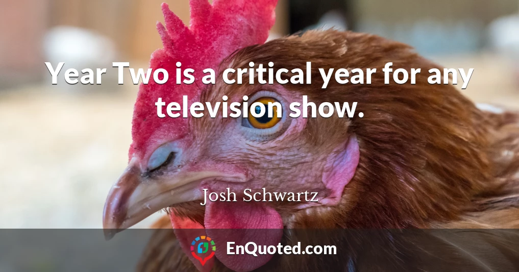 Year Two is a critical year for any television show.
