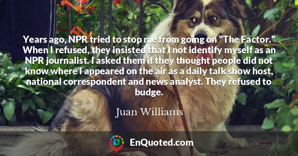 Years ago, NPR tried to stop me from going on "The Factor." When I refused, they insisted that I not identify myself as an NPR journalist. I asked them if they thought people did not know where I appeared on the air as a daily talk show host, national correspondent and news analyst. They refused to budge.