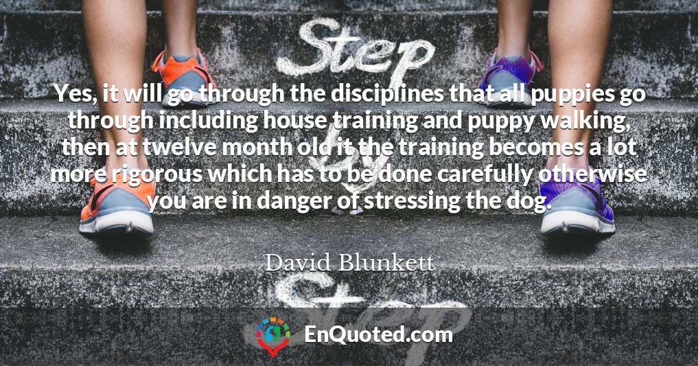 Yes, it will go through the disciplines that all puppies go through including house training and puppy walking, then at twelve month old it the training becomes a lot more rigorous which has to be done carefully otherwise you are in danger of stressing the dog.