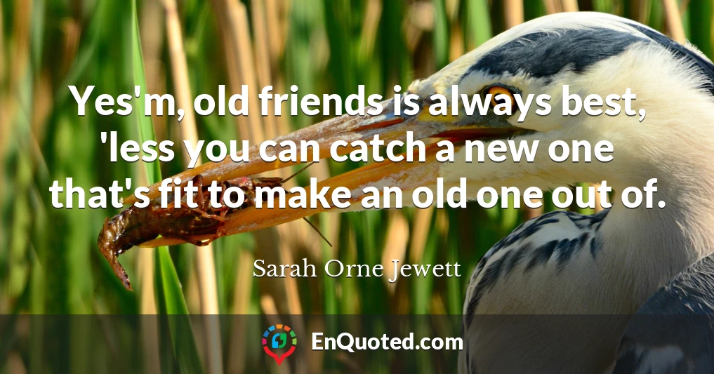 Yes'm, old friends is always best, 'less you can catch a new one that's fit to make an old one out of.