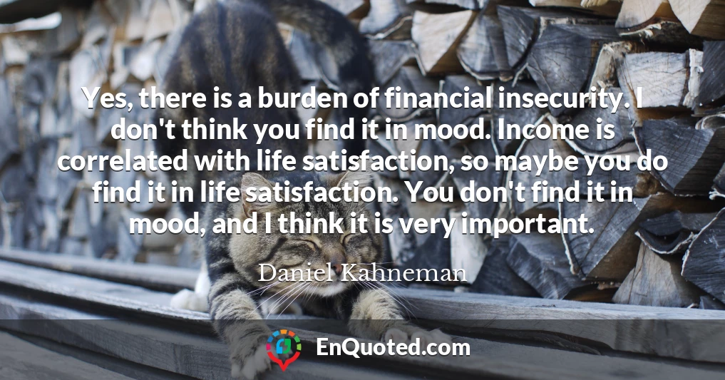 Yes, there is a burden of financial insecurity. I don't think you find it in mood. Income is correlated with life satisfaction, so maybe you do find it in life satisfaction. You don't find it in mood, and I think it is very important.