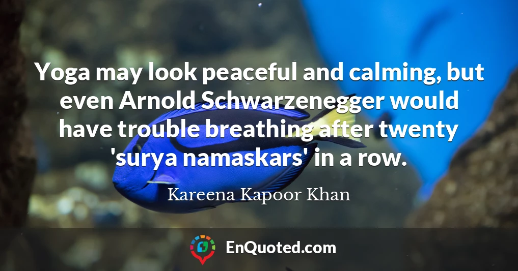Yoga may look peaceful and calming, but even Arnold Schwarzenegger would have trouble breathing after twenty 'surya namaskars' in a row.