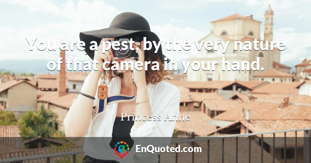 You are a pest, by the very nature of that camera in your hand.