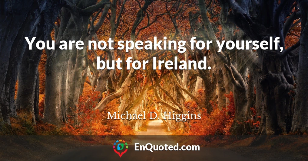You are not speaking for yourself, but for Ireland.