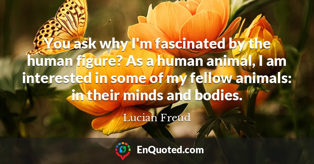 You ask why I'm fascinated by the human figure? As a human animal, I am interested in some of my fellow animals: in their minds and bodies.