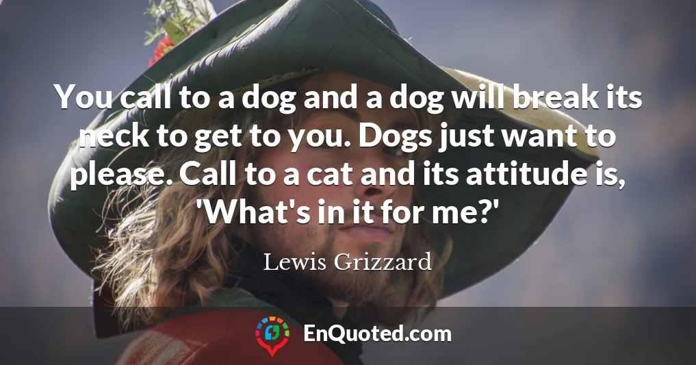 You call to a dog and a dog will break its neck to get to you. Dogs just want to please. Call to a cat and its attitude is, 'What's in it for me?'