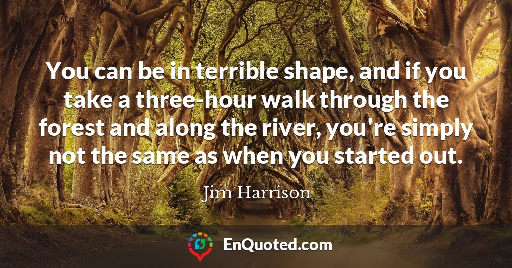 You can be in terrible shape, and if you take a three-hour walk through the forest and along the river, you're simply not the same as when you started out.