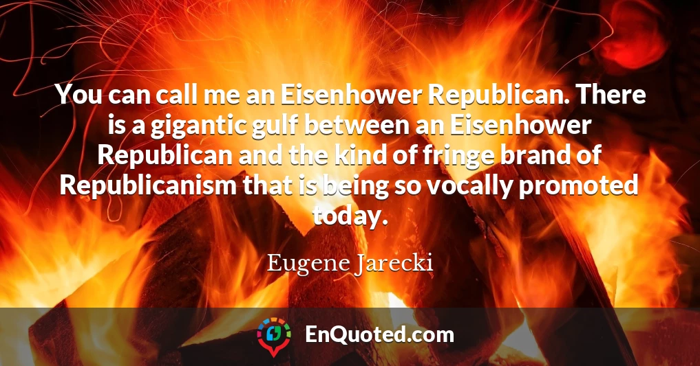 You can call me an Eisenhower Republican. There is a gigantic gulf between an Eisenhower Republican and the kind of fringe brand of Republicanism that is being so vocally promoted today.