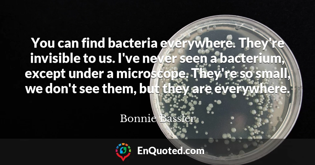 You can find bacteria everywhere. They're invisible to us. I've never seen a bacterium, except under a microscope. They're so small, we don't see them, but they are everywhere.