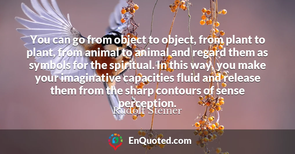 You can go from object to object, from plant to plant, from animal to animal and regard them as symbols for the spiritual. In this way, you make your imaginative capacities fluid and release them from the sharp contours of sense perception.