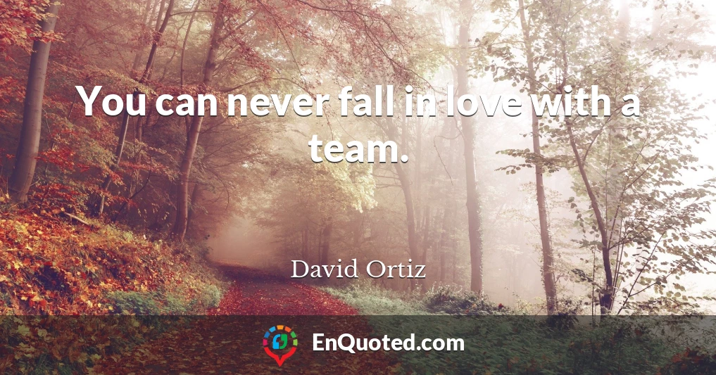 You can never fall in love with a team.
