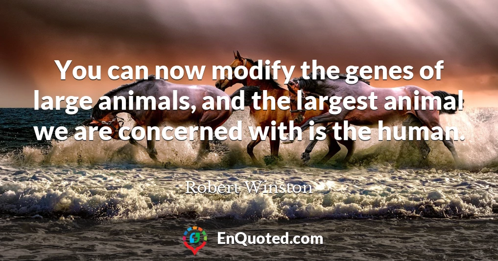 You can now modify the genes of large animals, and the largest animal we are concerned with is the human.