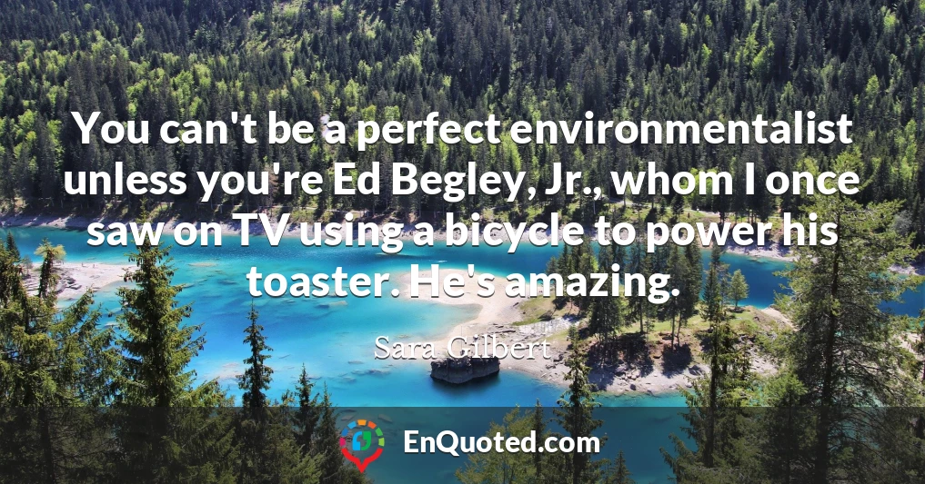 You can't be a perfect environmentalist unless you're Ed Begley, Jr., whom I once saw on TV using a bicycle to power his toaster. He's amazing.