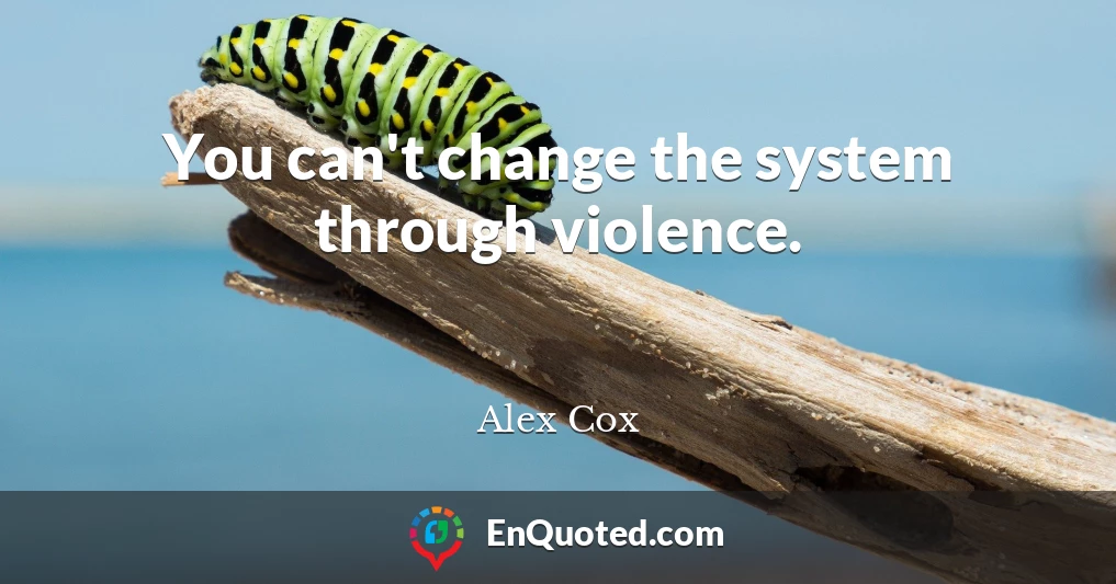 You can't change the system through violence.