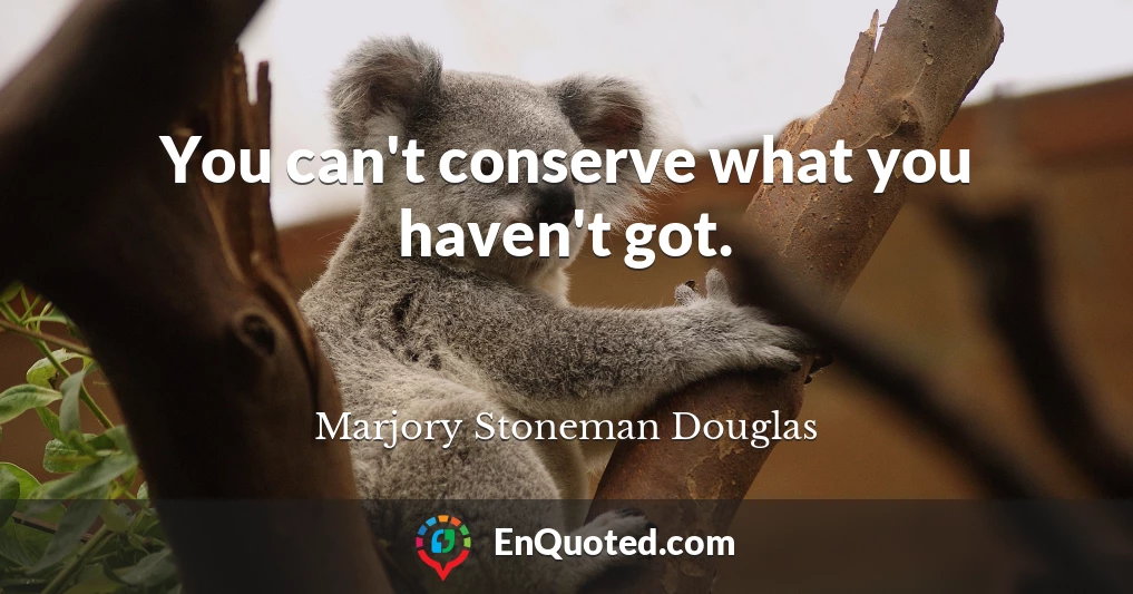 You can't conserve what you haven't got.