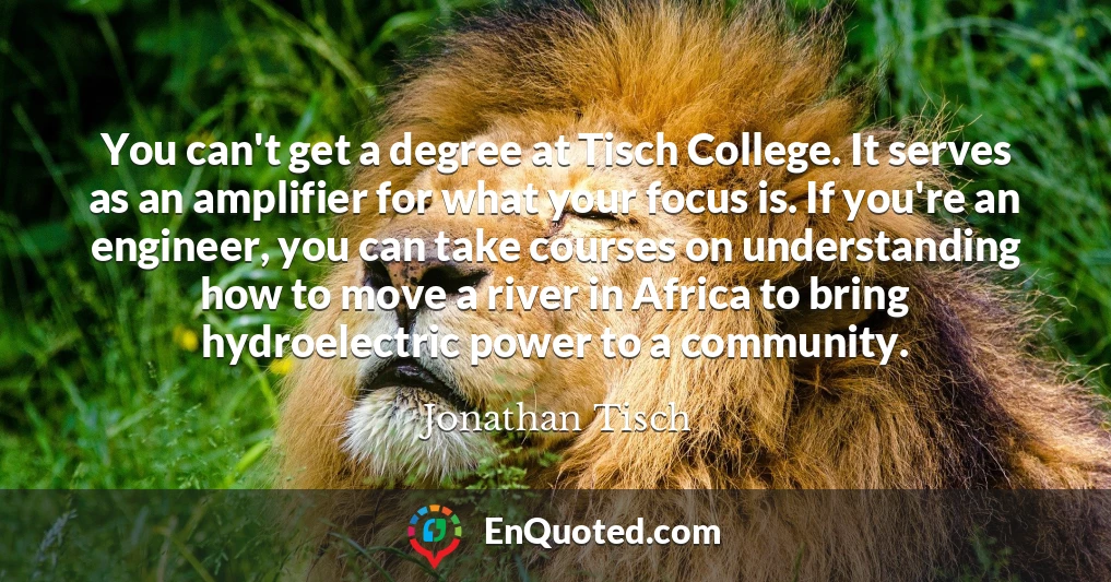 You can't get a degree at Tisch College. It serves as an amplifier for what your focus is. If you're an engineer, you can take courses on understanding how to move a river in Africa to bring hydroelectric power to a community.