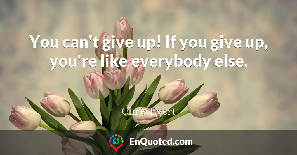 You can't give up! If you give up, you're like everybody else.
