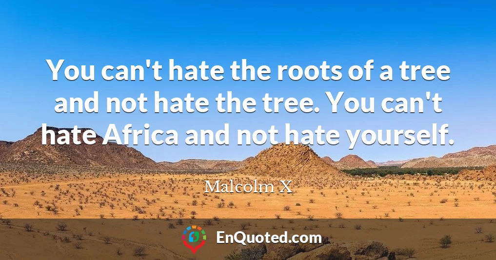 You can't hate the roots of a tree and not hate the tree. You can't hate Africa and not hate yourself.