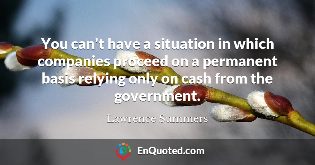 You can't have a situation in which companies proceed on a permanent basis relying only on cash from the government.