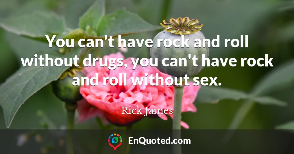 You can't have rock and roll without drugs, you can't have rock and roll without sex.