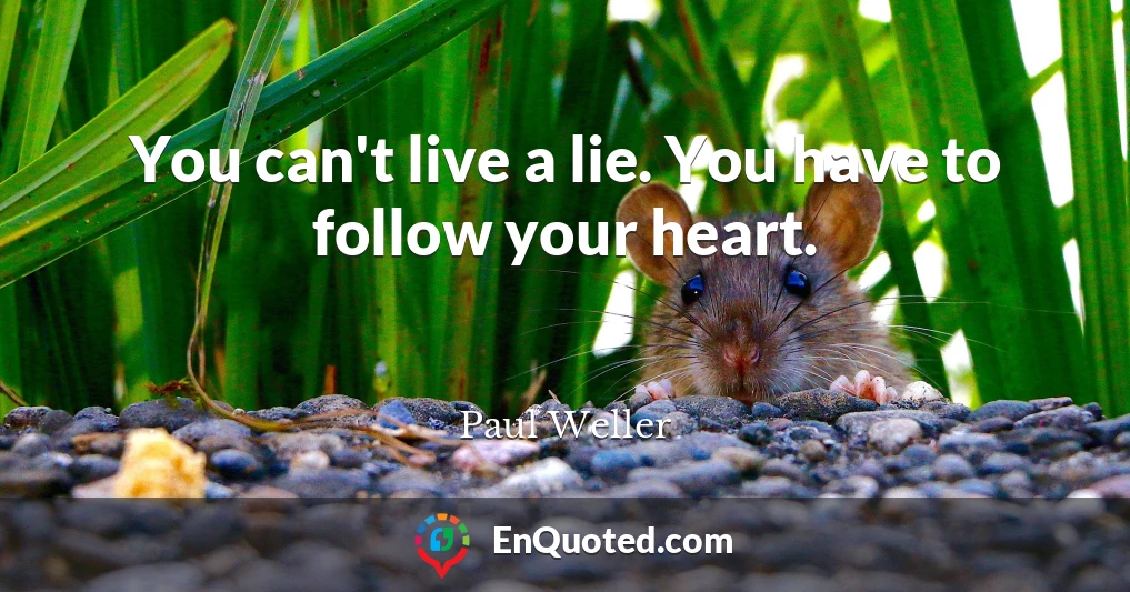 You can't live a lie. You have to follow your heart.