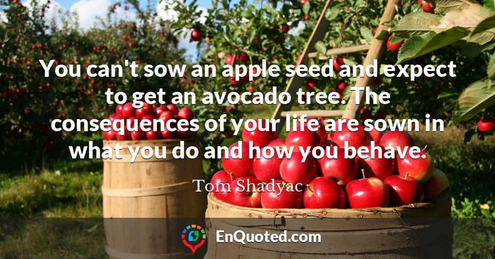 You can't sow an apple seed and expect to get an avocado tree. The consequences of your life are sown in what you do and how you behave.