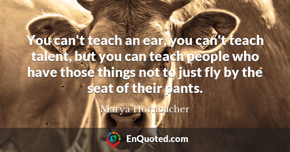 You can't teach an ear, you can't teach talent, but you can teach people who have those things not to just fly by the seat of their pants.