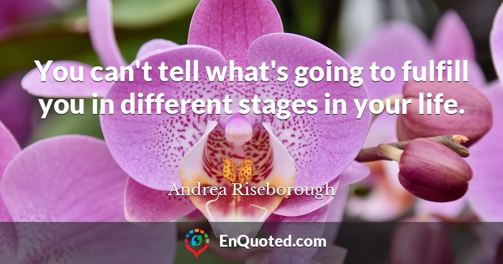 You can't tell what's going to fulfill you in different stages in your life.