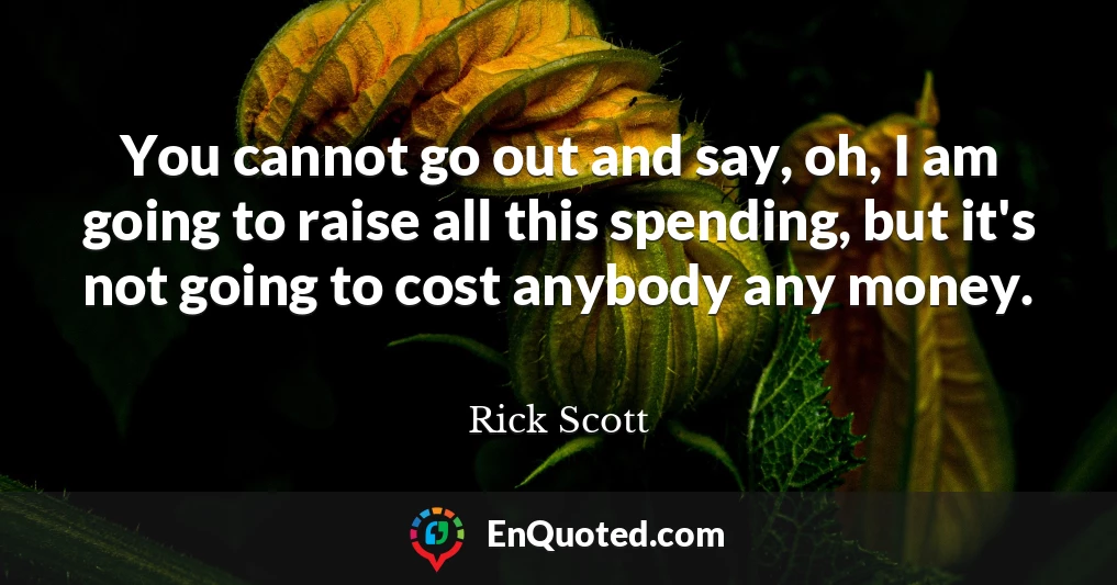 You cannot go out and say, oh, I am going to raise all this spending, but it's not going to cost anybody any money.