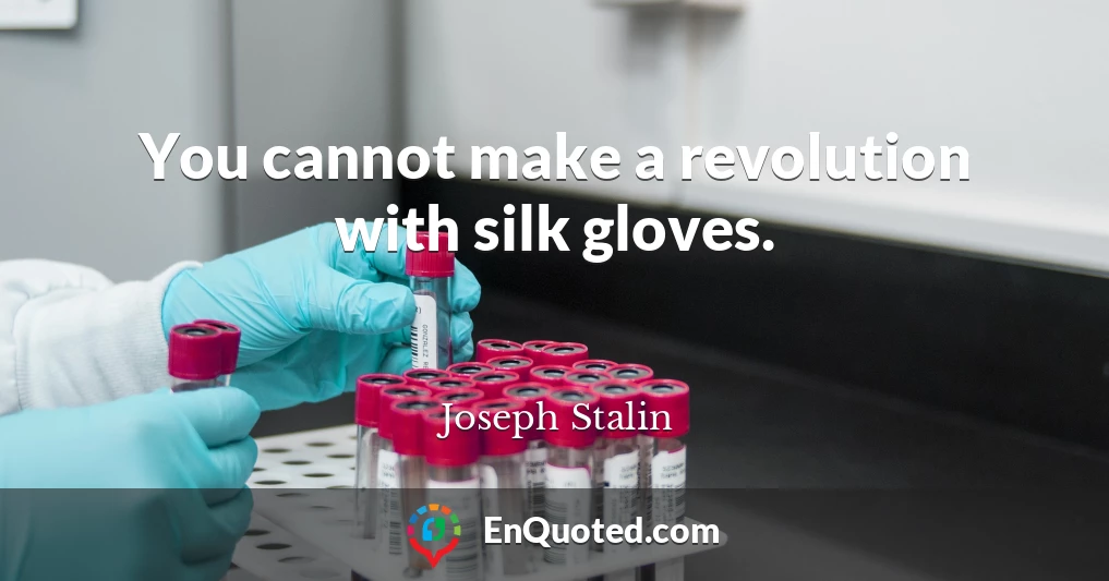 You cannot make a revolution with silk gloves.