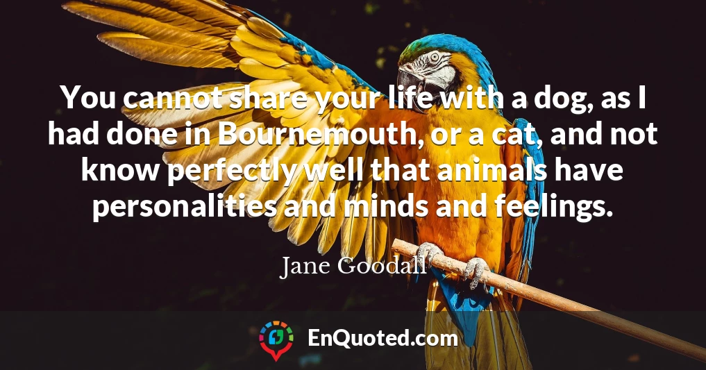 You cannot share your life with a dog, as I had done in Bournemouth, or a cat, and not know perfectly well that animals have personalities and minds and feelings.