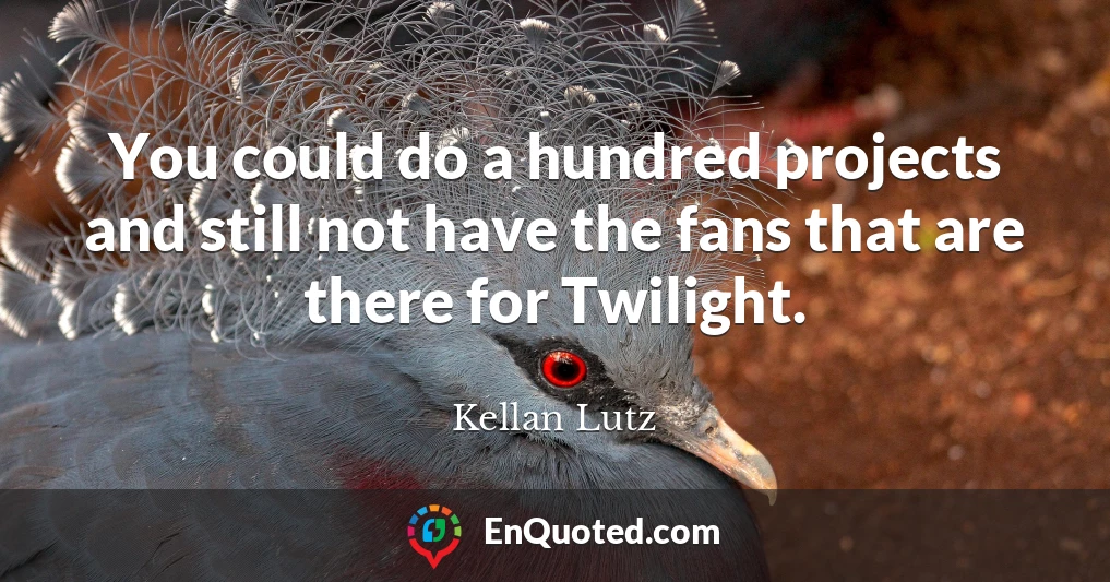 You could do a hundred projects and still not have the fans that are there for Twilight.