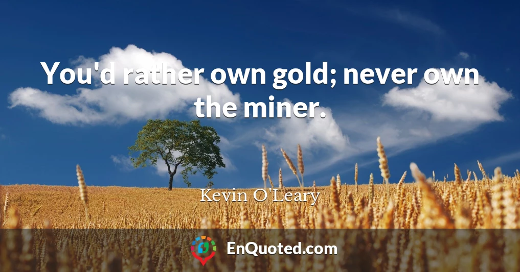 You'd rather own gold; never own the miner.