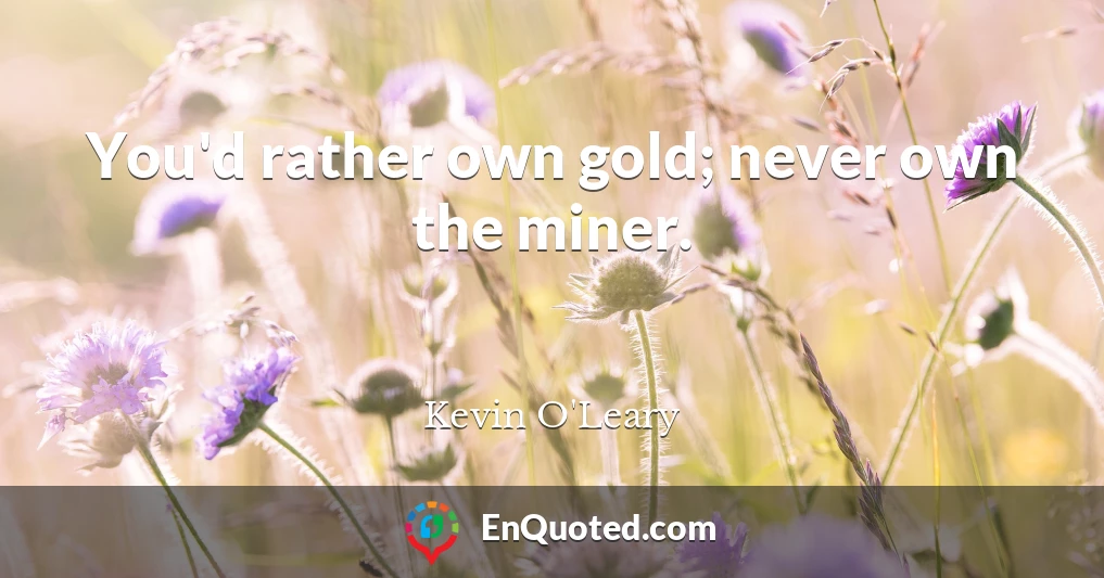 You'd rather own gold; never own the miner.