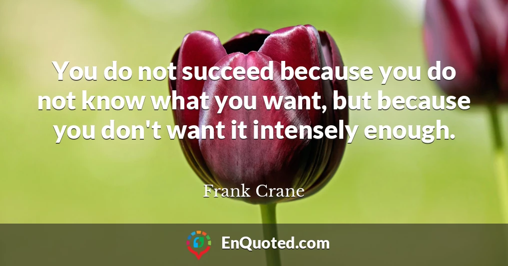 You do not succeed because you do not know what you want, but because you don't want it intensely enough.