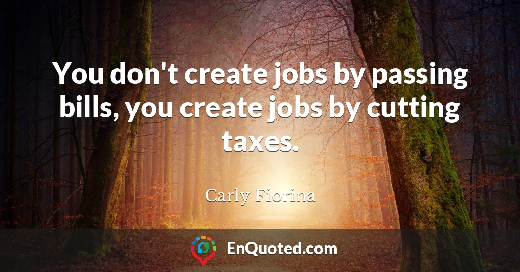 You don't create jobs by passing bills, you create jobs by cutting taxes.