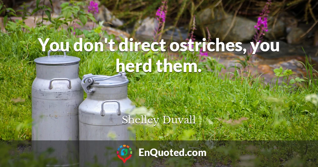 You don't direct ostriches, you herd them.